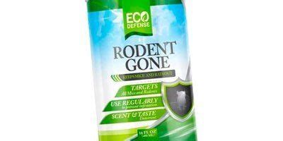 Best 7 Natural Rat Repellents (*2021 UPDATED*): Review & Buyer's Guide ...