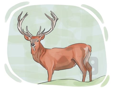 Definition & Meaning of "Stag" | LanGeek