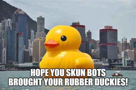 rubber ducky you're the one Memes - Imgflip