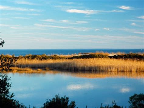 Visit Huntington Beach State Park! - Stone Gate at Prince Creek