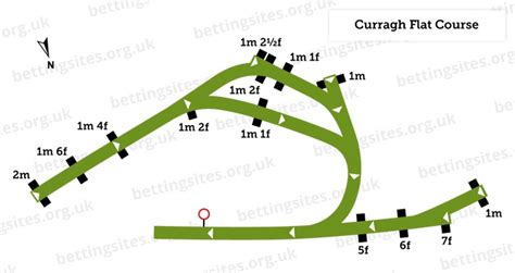 Curragh Racecourse Guide: Visitor Info, Races & History | BettingSites.org.uk