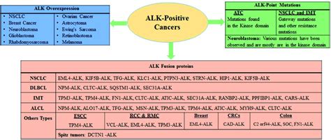 An overview of ALK in cancer and schematic summary of ALK... | Download ...