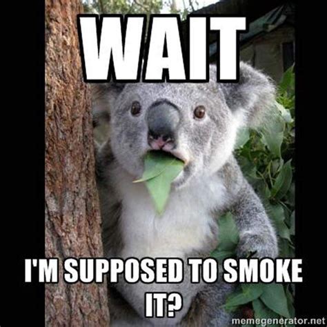 4/20 Humor - The Best Weed Jokes and Memes for 4/20