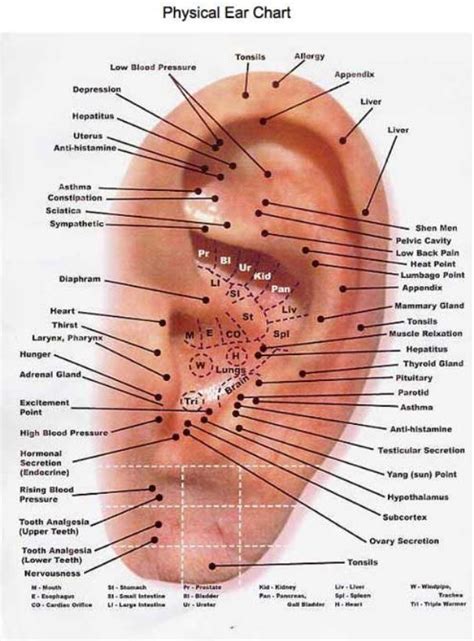 Acupressure Points For Fertility