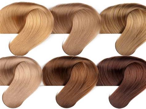 Golden Blonde Hair Color Dye, Dark, Light, Medium, Chart , Highlights ...
