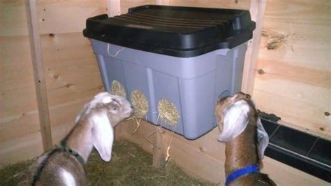 Homemade hay feeder | BackYardHerds.com | Goat hay feeder, Goat farming, Goat feeder