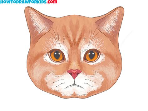 How to Draw a Realistic Cat Face - Easy Drawing Tutorial For Kids