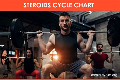 Steroids Cycle Chart: Best Legal Steroids Cycle and Stacks [2020]