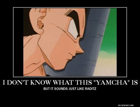 59 best dragon ball z abridged images on Pinterest | Dbz memes, Dragon ...