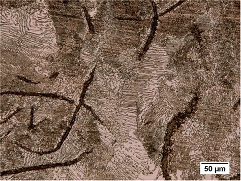 -Microstructure of As-Received Gray Cast Iron. | Download Scientific Diagram