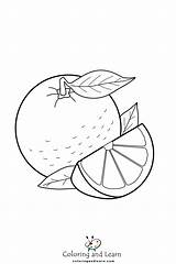 Orange Coloring Pages FREE 2025  And Learn sketch template