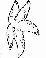 Small Coloring Pages For Adults At GetColoringscom  Free Printable sketch template