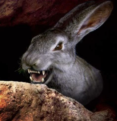 Night of the Lepus Movie Review