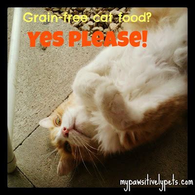 What Is Grain-Free Cat Food? | Win #HillsPet Science Diet Grain Free ...