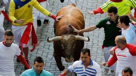 For Better or Worse, Running of the Bulls Comes to U.S. - History in the Headlines