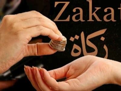 How Does the Zakat System Work in the Middle East? - The Halal Times