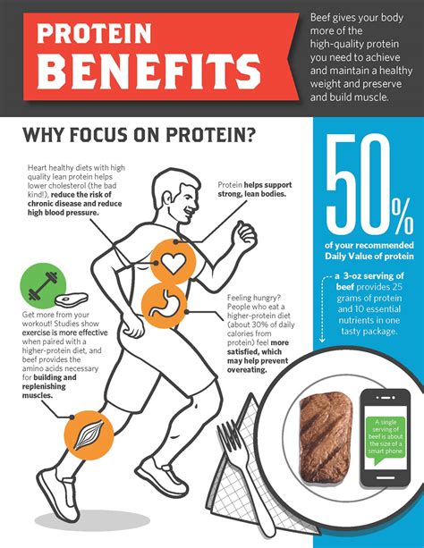 Animal Protein vs. Plant Protein - Protein Bars