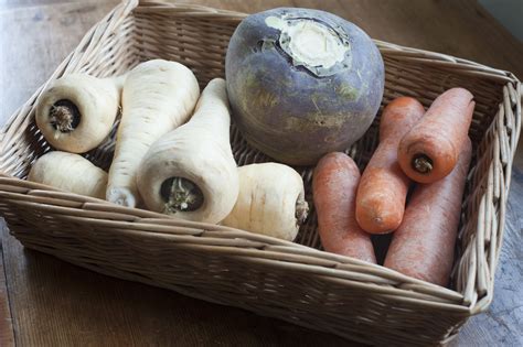 Winter root vegetables-7924 | Stockarch Free Stock Photos