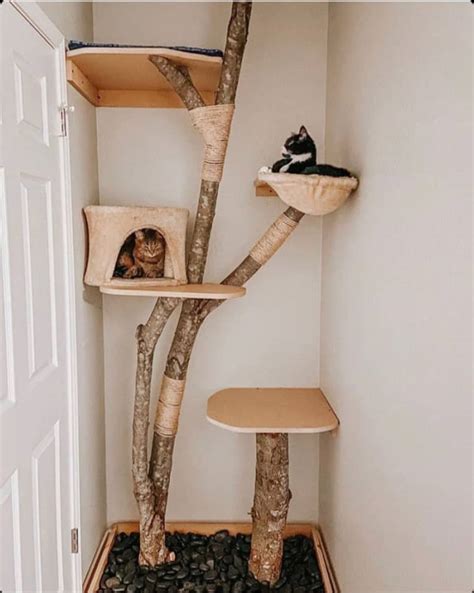 Diy Cat Furniture Ideas