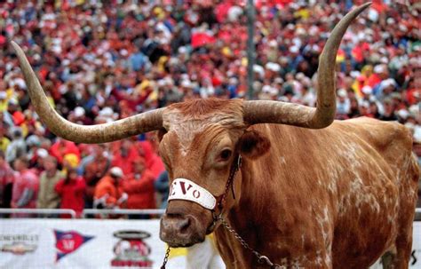 University of Texas Mascots - Ranked by Marc — Is This a Thing?