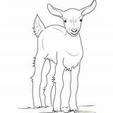 Goat Coloring Pages For Kids Printable Free Download  ColoringPages101com sketch template