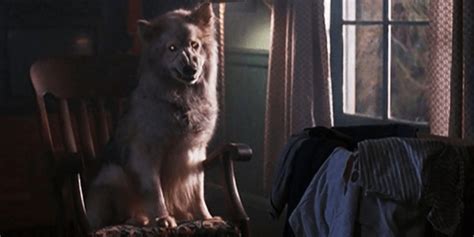 Scream Factory Announces Pet Sematary II Collector’s Edition Blu-ray Release | Dead Entertainment