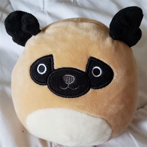 Squishmallow 5" Pam the Pug dog NWOT... - Depop