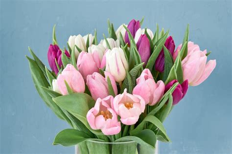 Pink And White Tulips Bouquet In Glass Vase. Copy Space Stock Photo - Image of border, fresh ...