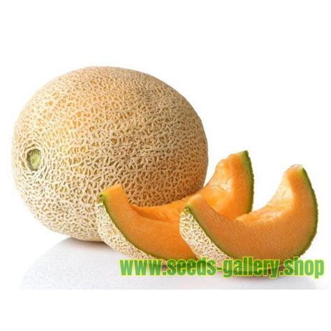 Yubari King Melon Seeds - Price €4.95