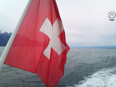 TsarlackONLINE SWITZERLAND, Swiss Flag HD wallpaper | Pxfuel