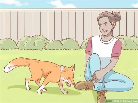 How to Tame a Fox