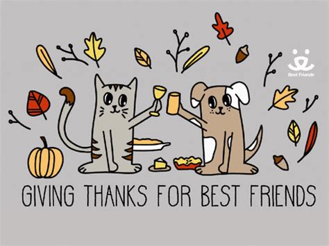 Give Thanks Thank You GIF by Best Friends Animal Society - Find & Share ...