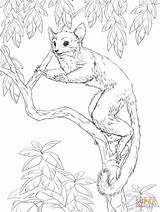 Public Domain Coloring Pages Free Printable Pictures Western  sketch template