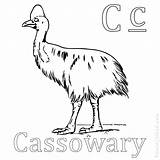 Emu Coloring Page At GetColoringscom  Free Printable Colorings Pages sketch template