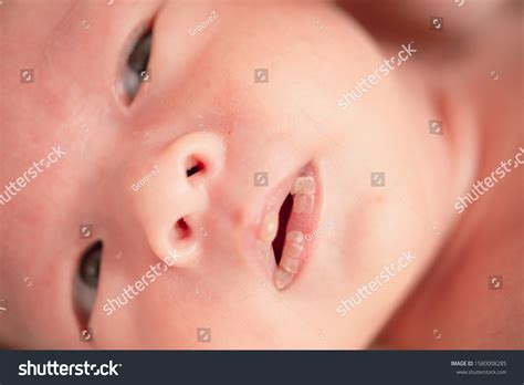 9,435 Crack Babies Images, Stock Photos & Vectors | Shutterstock