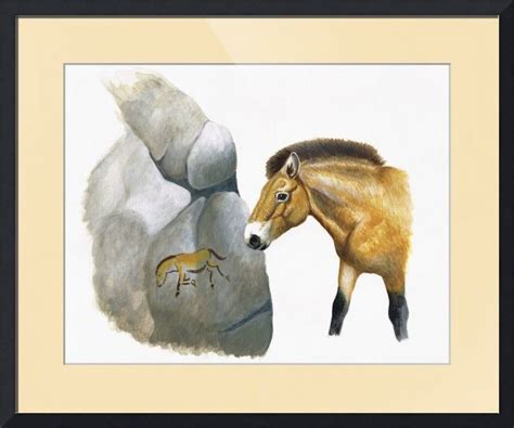 "przewalski cave horse" by Jane (Jinx) Tellam | Horse art print, Cave drawings, Art