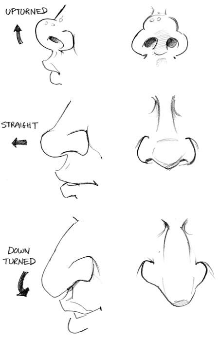 How To Draw A Nose Cartoon : I am a staff correspondent of toons mag ...