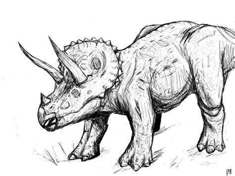 Triceratops Sketch by ahunterinsilence on DeviantArt