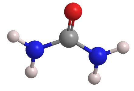 Urea - American Chemical Society