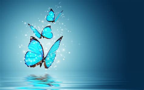 Blue Butterfly Wallpaper HD | PixelsTalk.Net