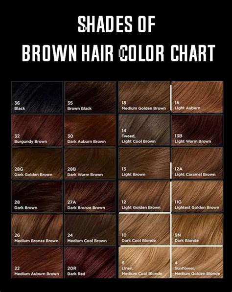 shades of brown hair color chart-min | Brown hair shades, Brown hair color chart, Brown hair ...