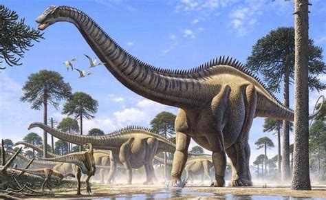 Файл:Supersaurus.jpg - Доисторические животные вики - Wikia