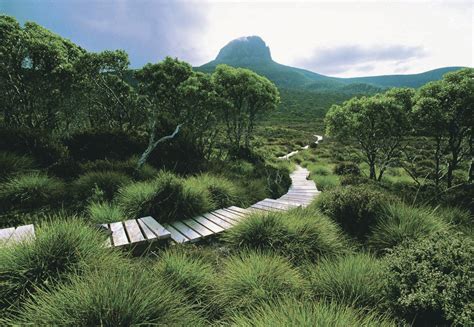 Trekking Tasmania's Rugged Cradle Mountain-Lake St Clair | Luxury Travel