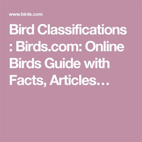 Bird Classifications : Birds.com: Online Birds Guide with Facts ...