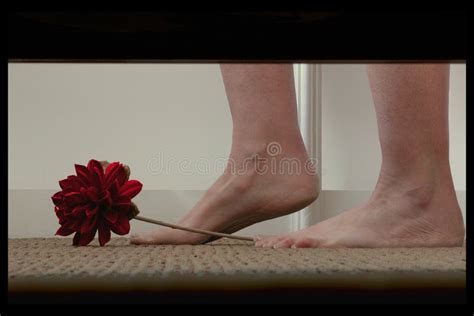 Hiding Under the Bed stock image. Image of hiding, under - 40421