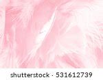 Pink Feather Free Stock Photo - Public Domain Pictures