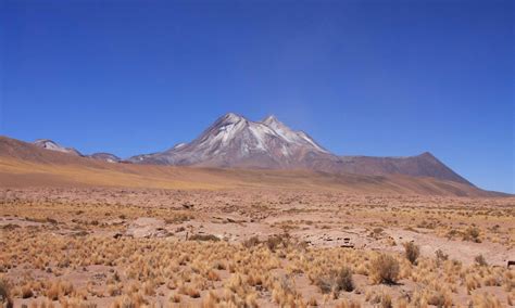 Half Day Tour to Atacama Salt Flat & Altiplanic Lagoons - RipioTurismo ...