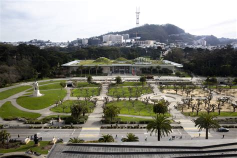 California Academy of Sciences to reopen to public in October | Datebook