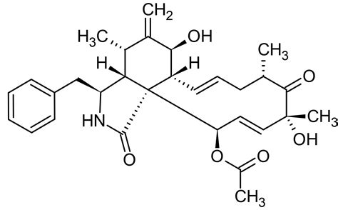 Cytochalasin D, actin polymerization inhibitor (CAS 22144-77-0) (ab143484)