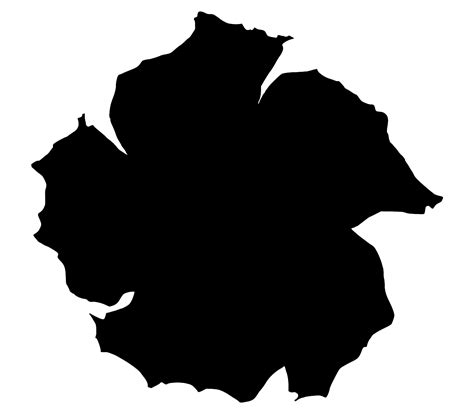 SVG > tropical hibiscus flower - Free SVG Image & Icon. | SVG Silh